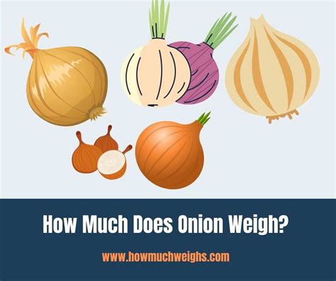 How much does an onion weigh?