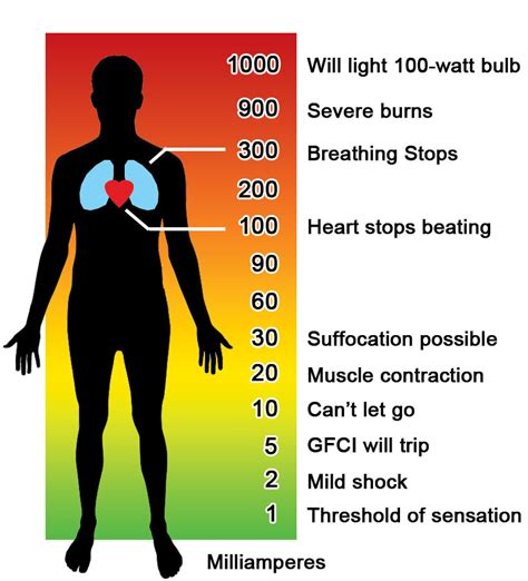 How much electricity is in a human body?