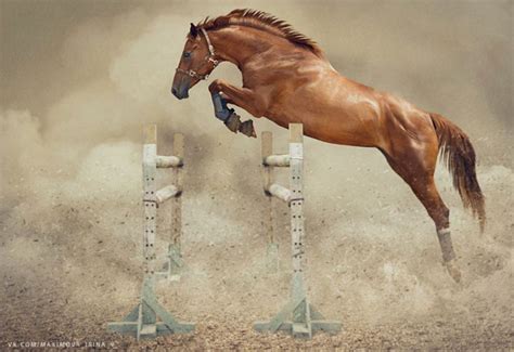 How much faster is a horse without a rider?