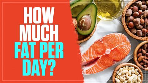 How much fat per day?