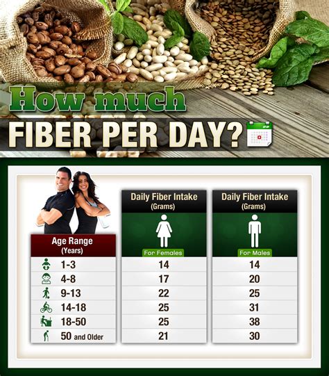 How much fibre per day?