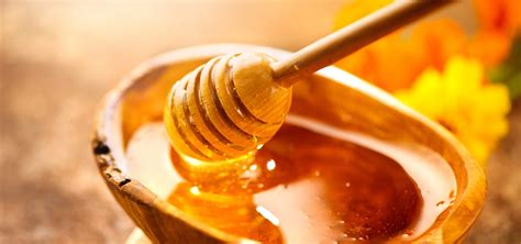 How much honey per season?