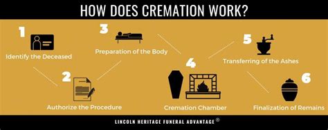 How much human is left after cremation?