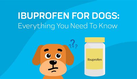 How much ibuprofen can a dog handle?