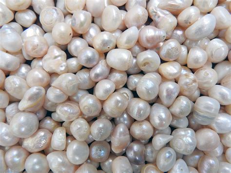 How much is 1 fresh pearl worth?