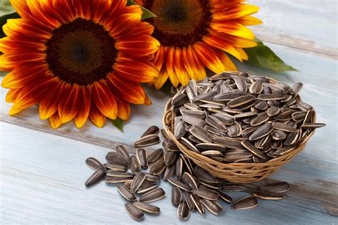 How much is 1 kg sunflower seeds?
