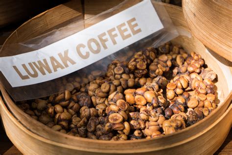 How much is Luwak coffee?