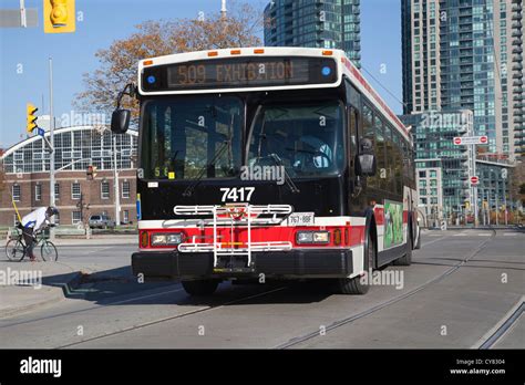 How much is a city bus in Toronto?