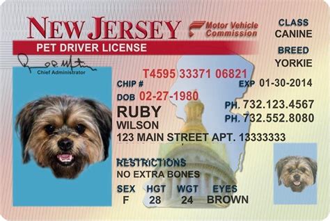 How much is a dog license in LA?
