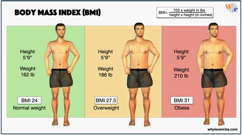 How much kg is overweight?