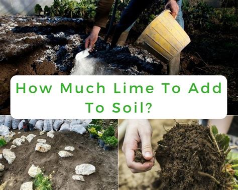 How much lime do I add to my soil?