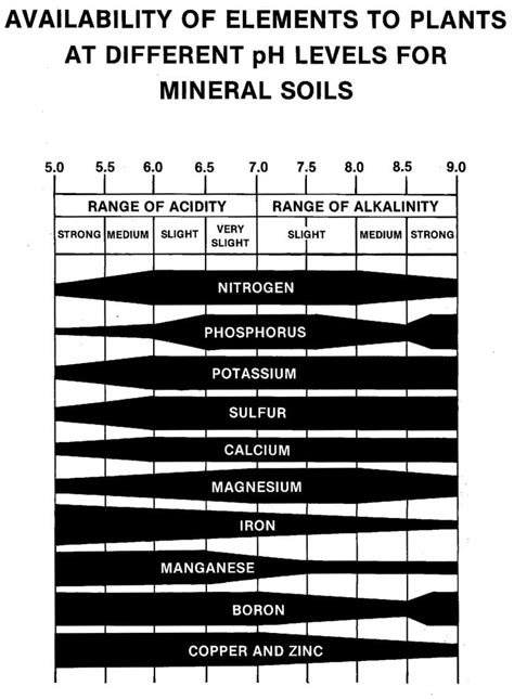 How much lime for 5.5 pH soil?