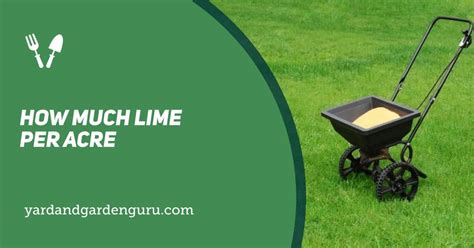 How much lime per hectare?