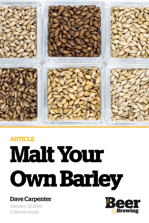 How much malt is needed to brew beer?
