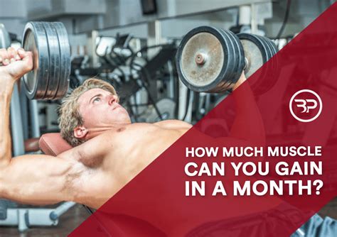 How much muscle can you gain in a month?