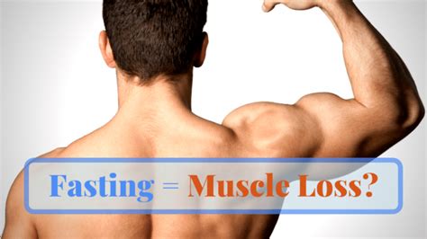How much muscle is lost during fasting?