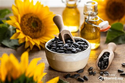 How much oil does 1 kg of sunflower seeds make?