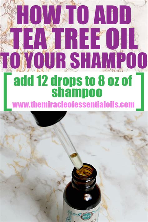 How much oil should I put in my shampoo?