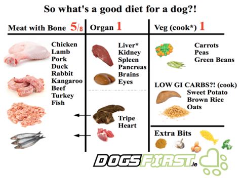 How much onion can a 60 pound dog eat?