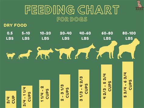 How much onion can a 75 lb dog eat?