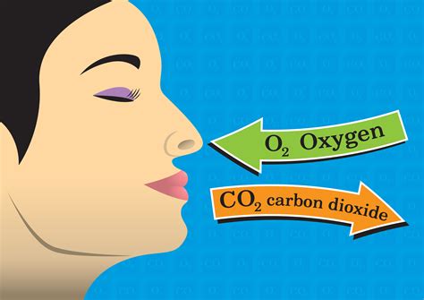 How much oxygen do we use when we breathe in?
