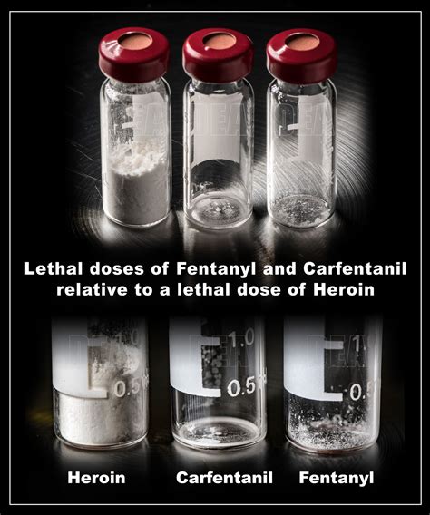 How much phenyl is lethal?