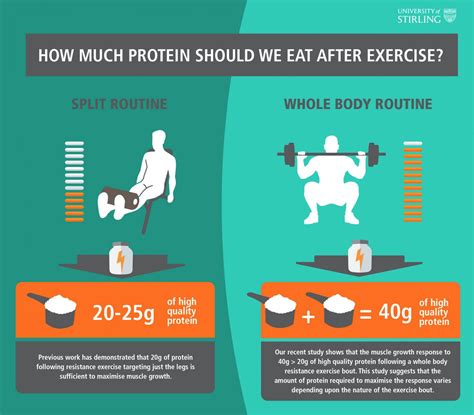 How much protein after workout?