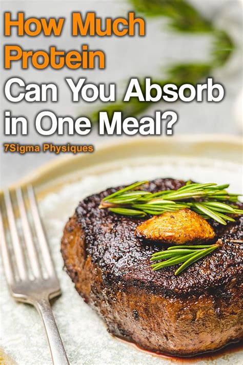 How much protein can you absorb in 1 meal?