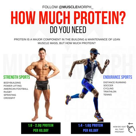 How much protein do I need for 82 kg muscle?