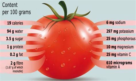 How much protein in a tomato?