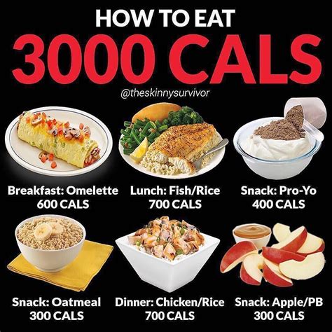 How much protein is 3,000 calories?