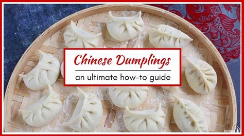 How much protein is in 2 dumplings?
