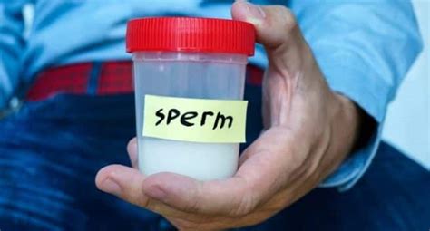 How much protein is lost in sperm?