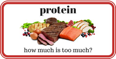 How much protein is too much at once?
