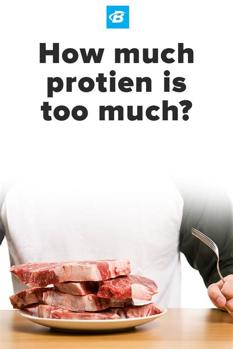 How much protein is too much in one sitting?
