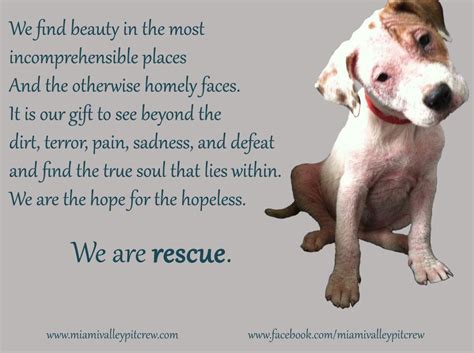 How much rescue do you give a dog?