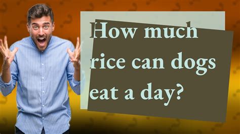 How much rice can dogs eat?
