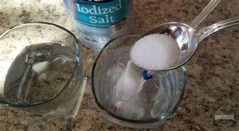 How much salt do you put in ice?