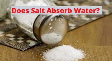 How much salt is needed to absorb water?