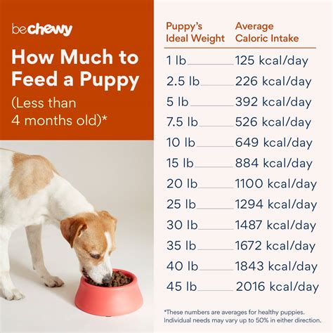 How much should a dog eat a day?