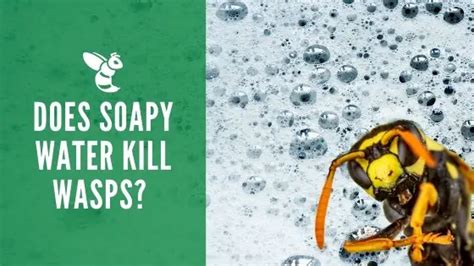 How much soap do you put in water to kill wasps?
