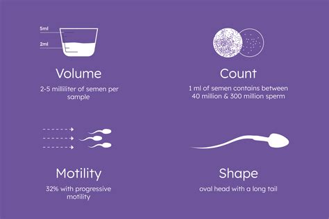 How much sperm is needed to get pregnant?