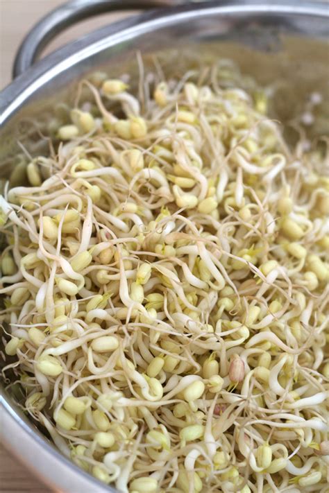 How much sprouts is too much?