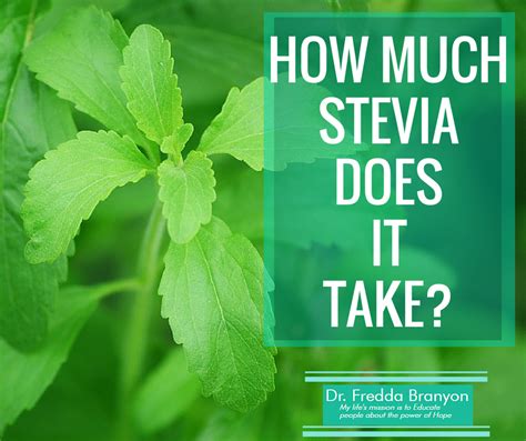 How much stevia is too much?