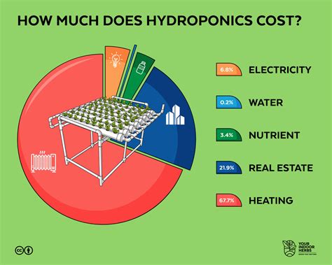 How much sunlight do hydroponics need?