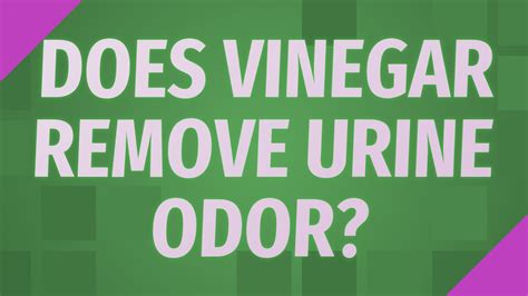 How much vinegar does it take to remove urine smell?