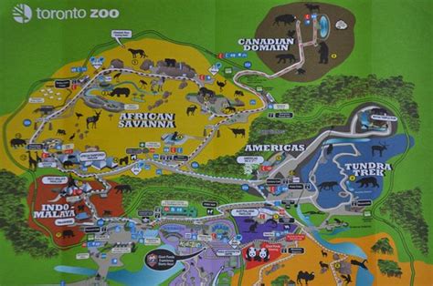 How much walking is the Toronto Zoo?