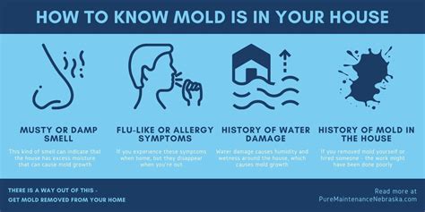 How much water causes mold?