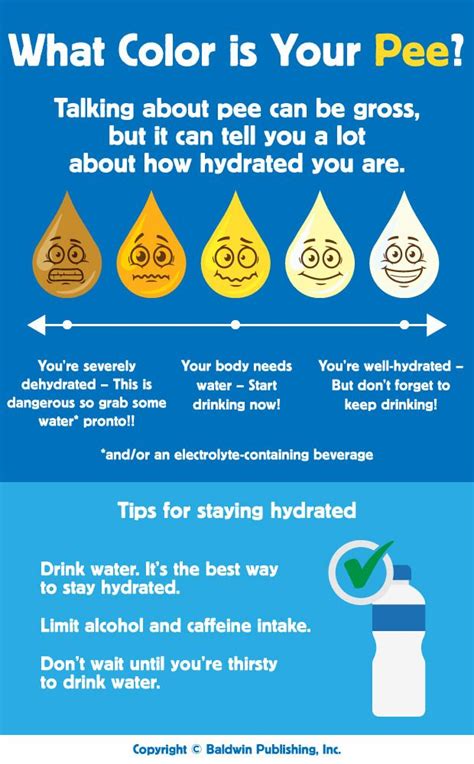 How much water comes out when you pee?