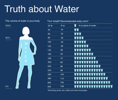 How much water do models drink daily?